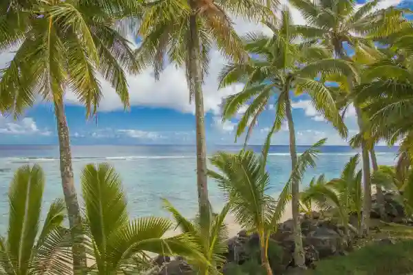Rarotonga Guide for Dance Enthusiasts - 拉罗汤加舞蹈爱好者指南