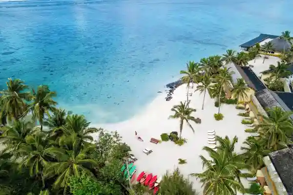 Rarotonga Guide for Dance Enthusiasts - 拉罗汤加舞蹈爱好者指南