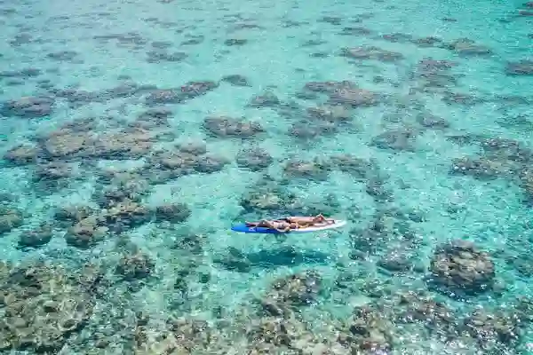 Rarotonga Guide for Dance Enthusiasts - 拉罗汤加舞蹈爱好者指南